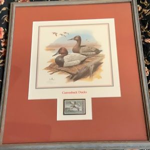 Canvasback Ducks by Balke